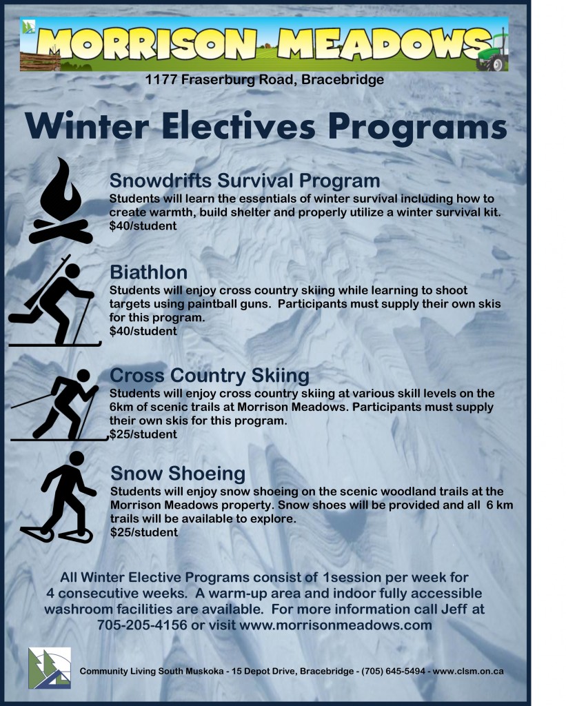 Snowdrifts Flyer 2015