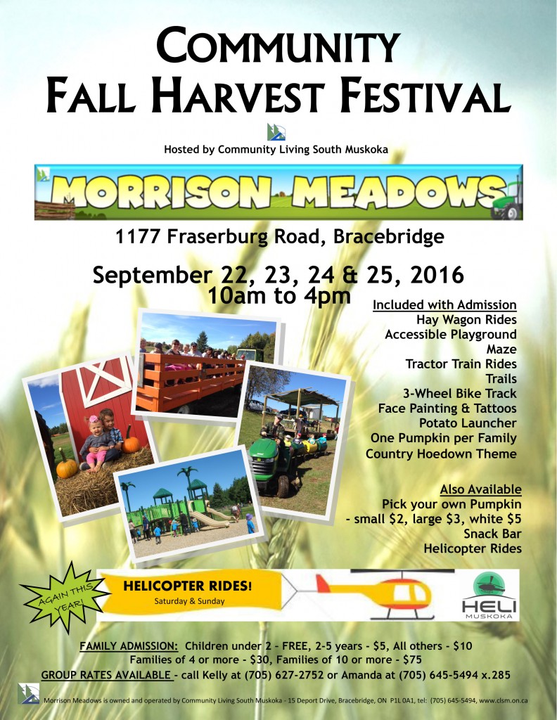 Fall Festival Flyer 2016 - Vertical - schools